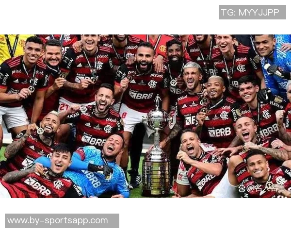 南美解放者杯决赛球队的巴西统治力近十年显著体现